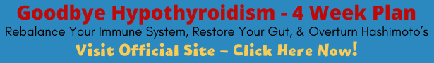 Jodi Knapp's 4 week Hypothyroidism Hashimoto Plan