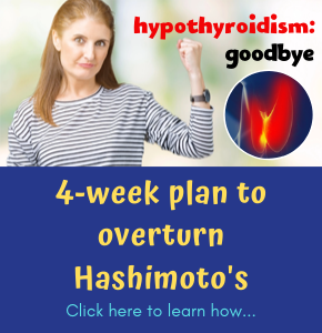 Jodi Knapp Hypothyroidism Solution Hashimoto 4-week plan